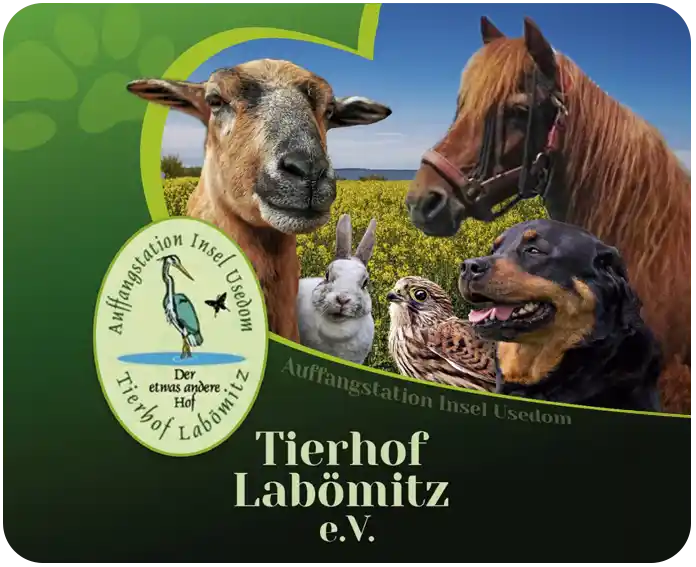 Tierhof Labömitz
